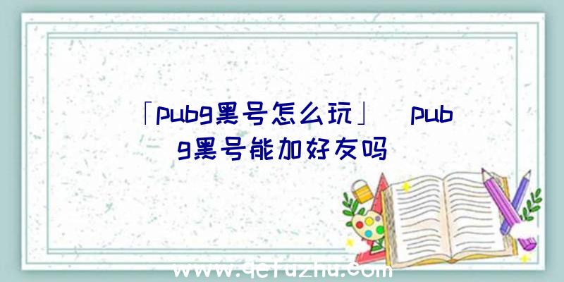 「pubg黑号怎么玩」|pubg黑号能加好友吗